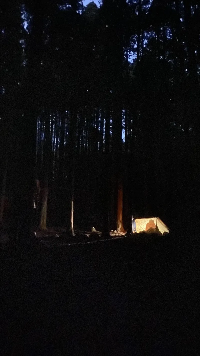 焚火の灯だけが揺れるディープフォレストの野営地の夜