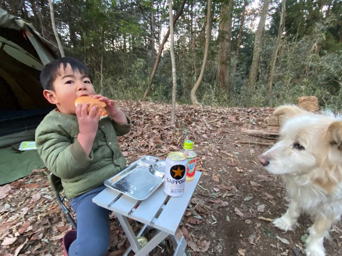 テントのそばで食事をする子どもと、隣に立つ犬