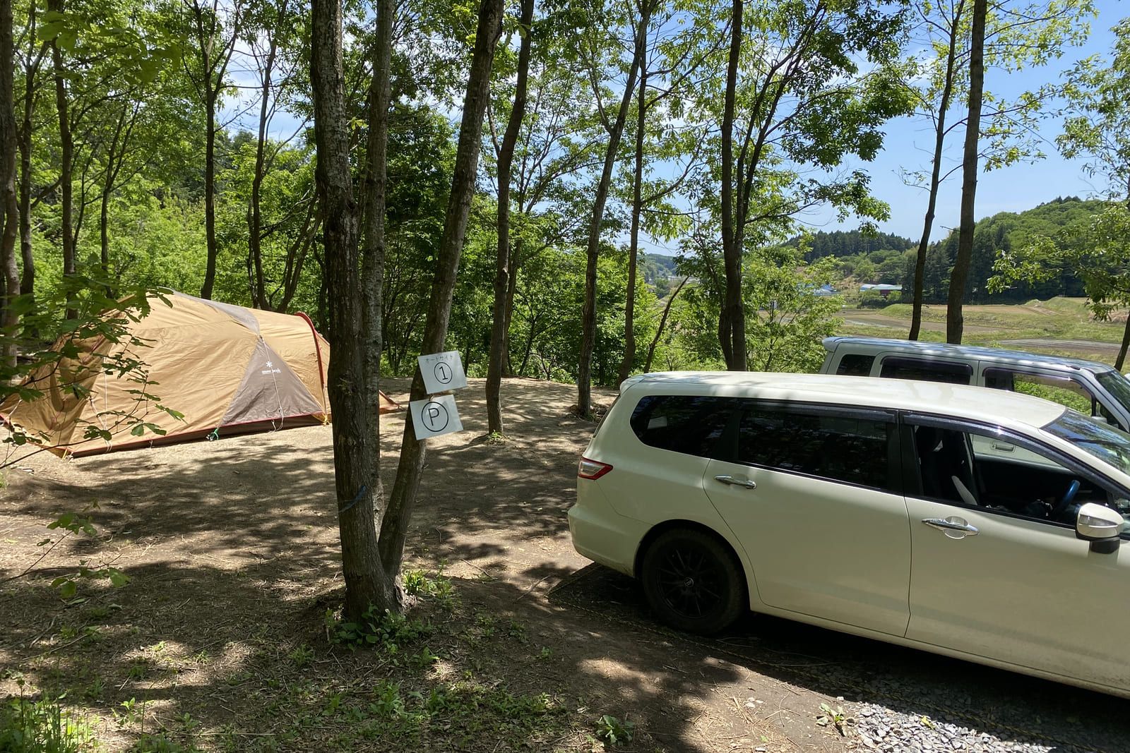 木立のサイトに設営したテントと横付けした白い車