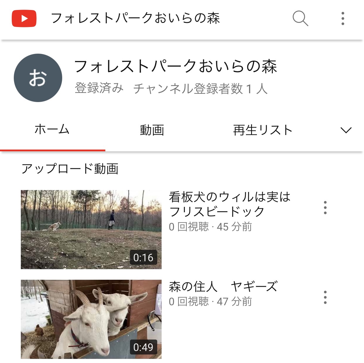 img_6662 / フォレストパークおいらの森